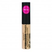 Ushas Eyeshadow Primer 12g