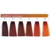 Exitenn Hair Color Βαφή με Κολλαγόνο Σοκολατί 100ml