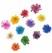 Joyan Dry Flowers 3D 12pcs