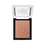 Dorothy L Quickstick Make Up No 08 Chocolate