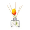 Cocodor Tulip Diffuser Lovely Peony 120ml