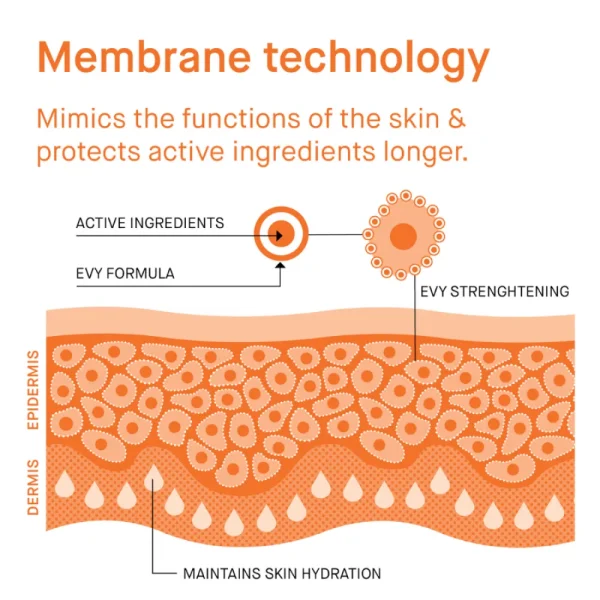 Evy Technology Daily UV Face Mousse SPF30 75ml 2 Evy Technology Daily UV Face Mousse SPF30 75ml