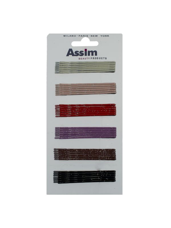 Assim Τσιμπιδάκια Μαλλιών 16 24 τεμαχίων