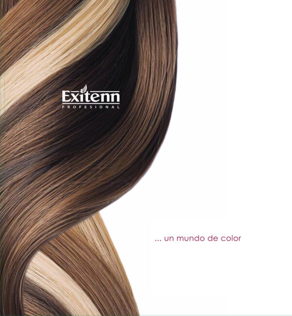 Exitenn Hair Color με Αμμωνία 100ml 6 Exitenn Hair Color με Αμμωνία 100ml
