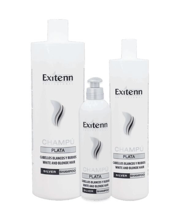 Exitenn Silver Shampoo 500ml Exitenn Silver Shampoo 500ml