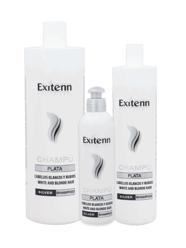 Exitenn Silver Shampoo 500ml