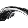 Wet n Wild Big Poppa Mascara